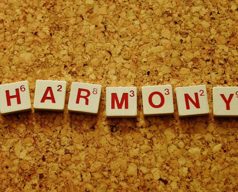 picture of the word harmony on blocks
