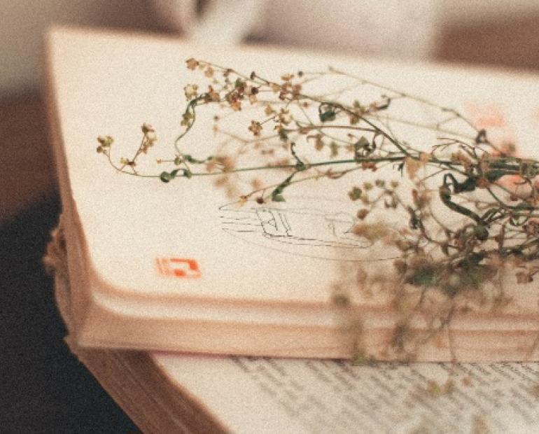 It's is a picture of a book with a flower kept on top of it. 