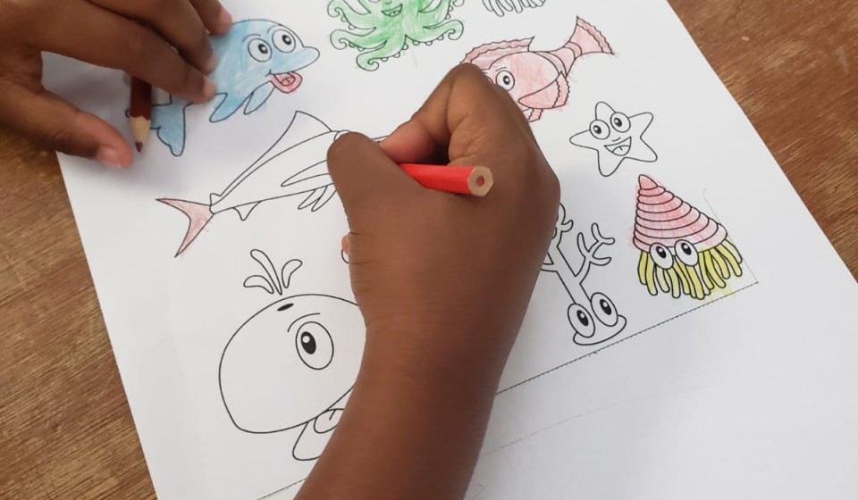 Child coloring sea creatures at Ocean Discovery