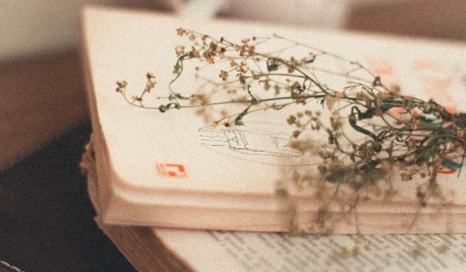 It's is a picture of a book with a flower kept on top of it. 