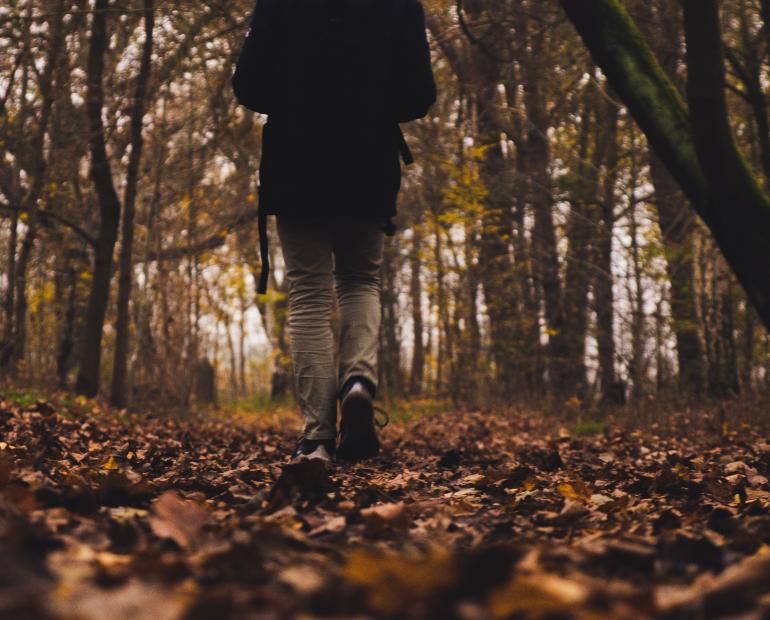 a person walking in forest during daytime