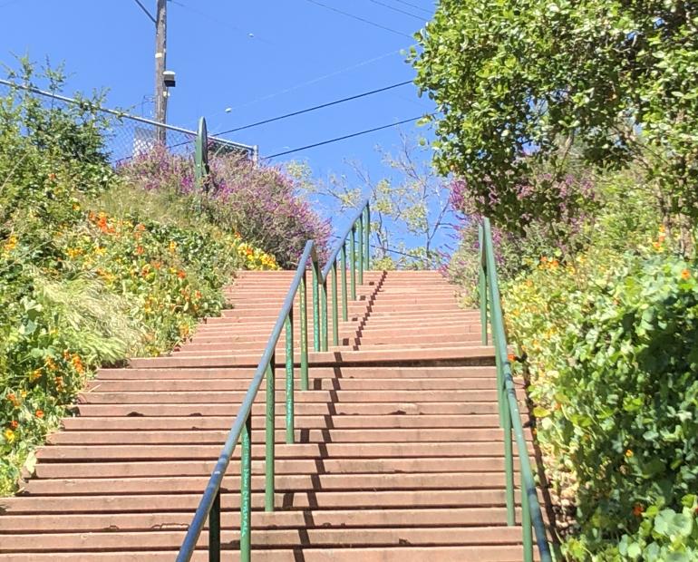 Green bushes and purple and orange flowers surrounding a staircase. 