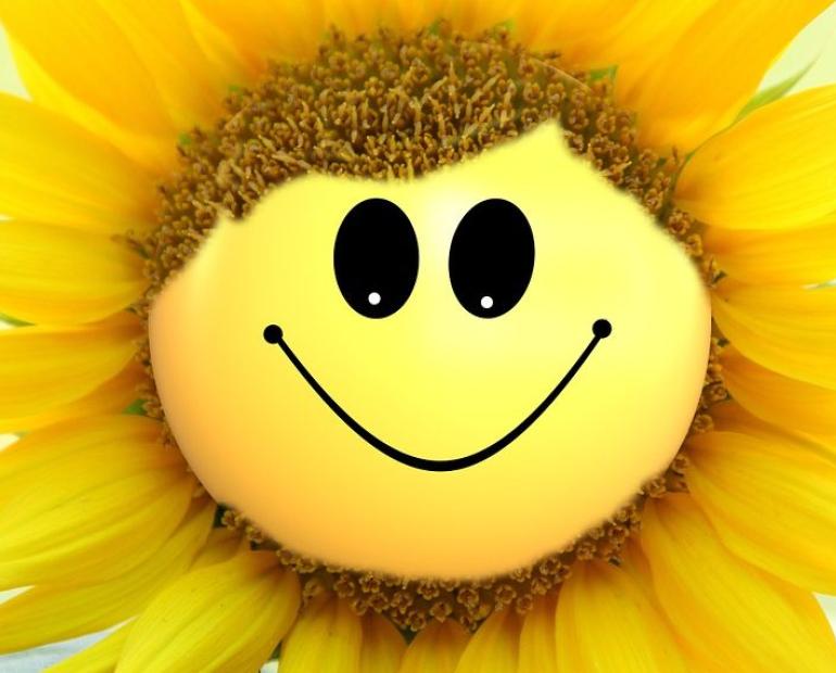 Sunflower smiling