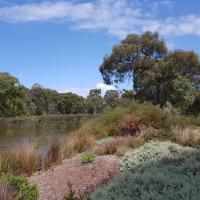 A river/wetland in Southern Australia.