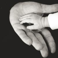 A big hand holds a baby hand