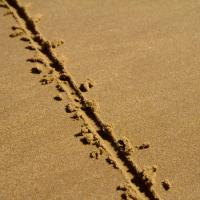line in the sand