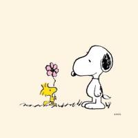 Snoopy and a flower