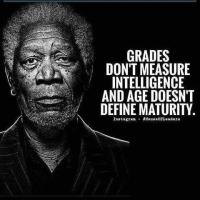 Grades don't measure intelligence 